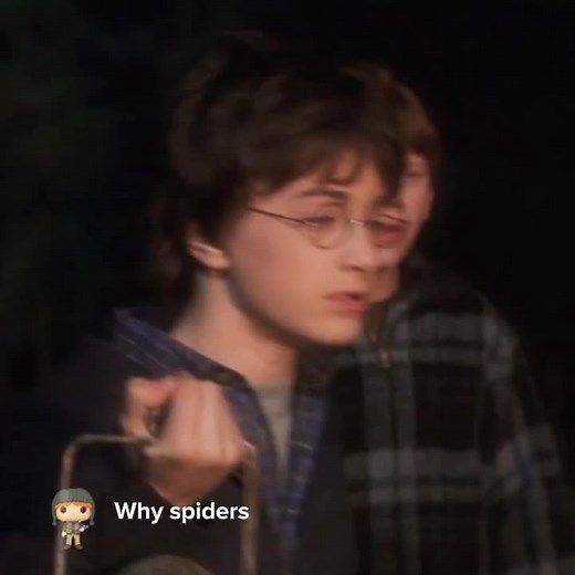 Dreamy Inspiration: Ron Weasley and Butterflies vs. Spiders