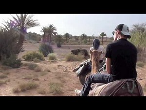 Zagora Sahara Desert Tour
