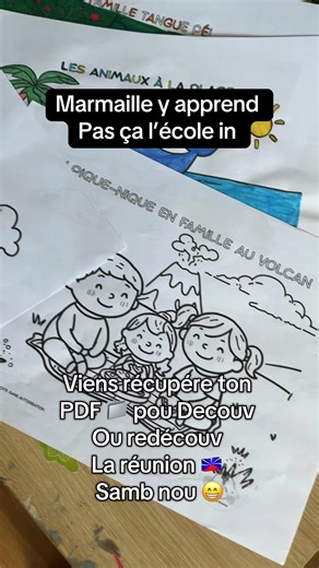Personne ne leur apprend vraiment ça à l’école… 🌴👀 Et si nos enfants découvraient La Réunion en s’amusant ? 💛 Un moment ludique, éducatif et rempli de culture ✨ Tu veux voir comment ça marche ? 👇 #974 #iledelareunion #reunionaisenmetropole🇷🇪 #activité #reunionisland🇷🇪