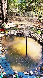 ⛲️Gorgeous New Fish Pond 🌳 #nature #ecosystem #fishpond