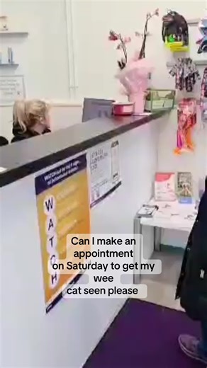 Friendly Veterinary Service: Always Here to Help!