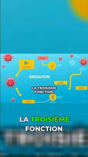 Le secret du sang expliqué en 30 secondes #Physiologie #DEAS