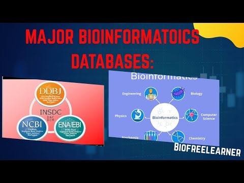 Bioinformatics Databases: