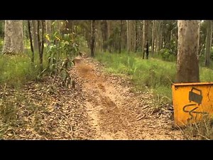 2012 KTM 300EXC vs Gas Gas EC300E