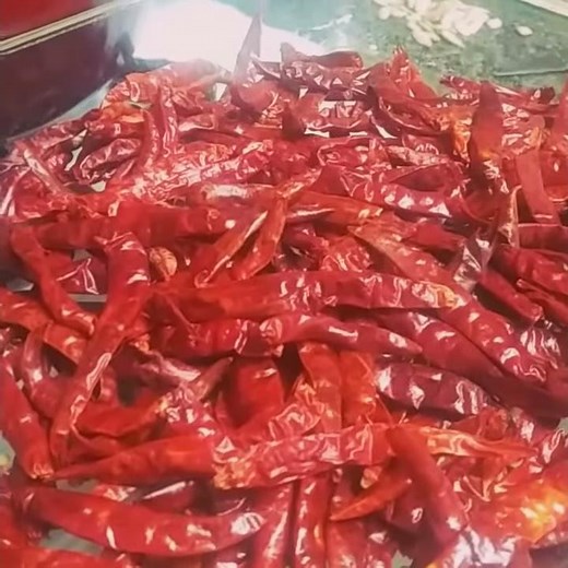 How To Make Hot Chilli Powder | Homemade Red Chilli Powder Recipe | #shorts