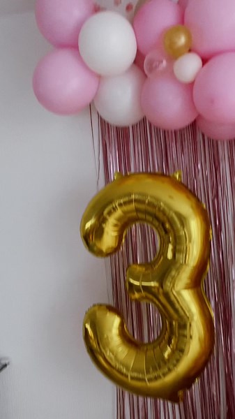 It’s time to celebrate, the 3 years of the birthday girl 🥳🥰 #pinkbirthday #pinkbirthdayparty #pinkbirthdaydecoration #verjaardagsfeestje #cumpleañosfeliz #cumplo💕 #pinkgarland #arcodeglobos #girlbirthdaytheme #girlbirthdayideas #girlbirthdaydecor