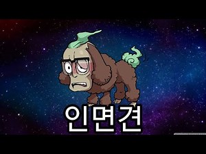 인면견tmi