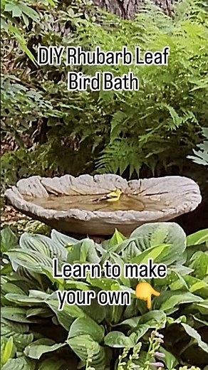 How to Make Your Own Bird Bath