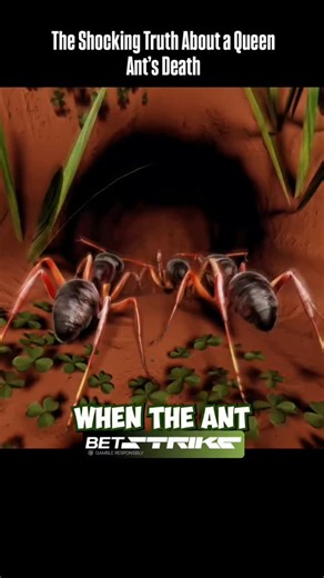 If you like Random Fact:↴ 🎯 We search the internet for the best Random Fact Content and post it here. 🍿 Check our Posts & Find Your Favorite video 👉 DM us for removal or credit #trending #trendingreels #randomfacts #didyouknowfact #dailyfacts #mindblown #learningsomethingnew #triviatime #brainsnack | Snapfactattack