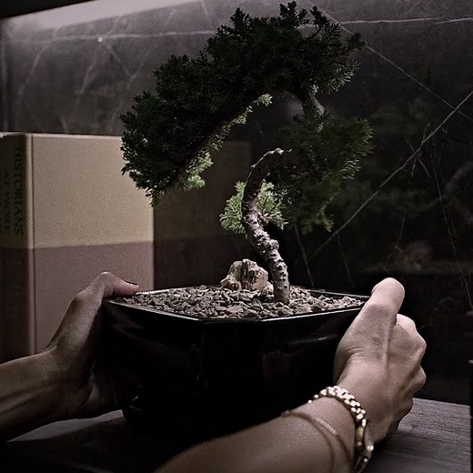 The Pookiest Meowest Meow Assassin - Elektra Natchios Supremacy