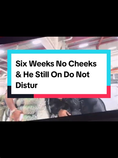 Celebration After Six Weeks of Fight Camp