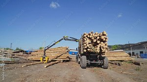 Industrial Forestry Machine Picks Up Wooden Log To Pile It In Logging. Logging Machine Using Crane To Move Wooden Log At Forestry Industry Site. Machine For Forestry Logging Stack. Woodwork