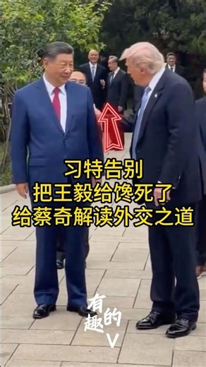 习特道别：王毅的举动应该是也不想退休