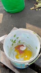 198K views · 754 reactions | Cabbage grow tips using raw eggs as compost #cabbage #plants #nature #flowers #plantsofinstagram #garden #plant #gardening | Rezia Gardening | Facebook