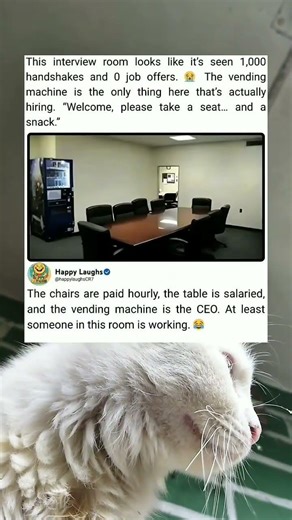 Job Interview Room Humor The Vending Machine Runs Everything