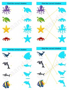 Sea Creature Shadow Matching Game 15 Worksheet for Kids – Ocean Animals Printable PDF With Answer Key - Etsy