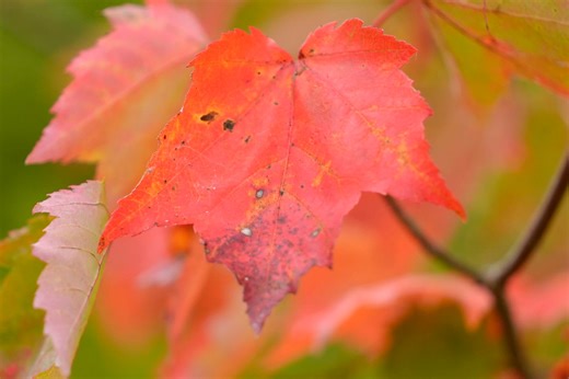 It’s not just you. Here's why fall hasn’t really felt like fall this year