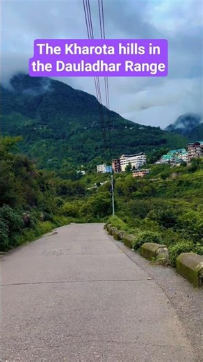The Kharota hills in the Dauladhar Range