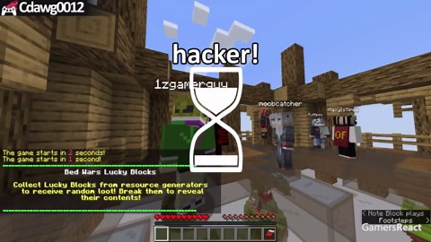 Minecraft noob vs pro vs hacker #5