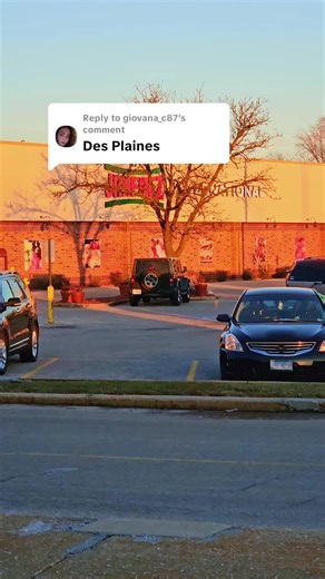 Replying to @giovana_c87 Taking requests from likers and followers #treasurehunt #xmarksthespot #Chicagocashdrop #hiddengems #fyp