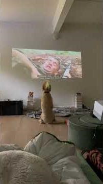 (Mostly) Eleanor Watching Forrest Gump (1994)