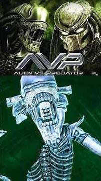 Xenomorph Hunting Aliens vs Predator