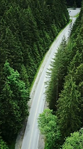 British Columbia’s vast forests—over emerald conifers, coastal mountains Canada’s Pacific Northwest