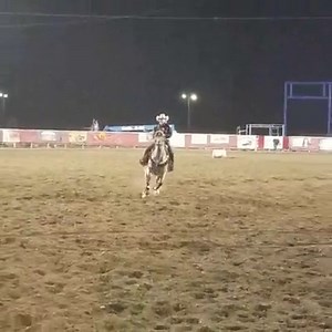 Cody, wy Champion Challenge barrel racing - Pro Fantasy Rodeo