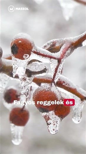 ❄️Visszatér a fagyos időjárás!