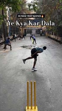 Craziest Ending in Backyard Cricket 😱 #cricketskills #backyardcricket #realcricket #shorts #trending