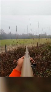 Two Unbelievable Shots Deer Hunting with Shotgun #DeerHunting#Wildlife #Hunting#nature