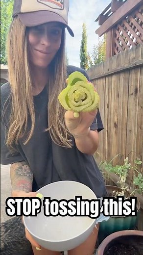 Here’s how to regrow celery from scraps with zero effort.