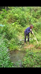 938K views · 13K reactions | Embankment construction log cabin Part8 #bushcraft #Outdoors #offgrid #build #cabin #logcabin #offgridlivi | My Survival | Facebook