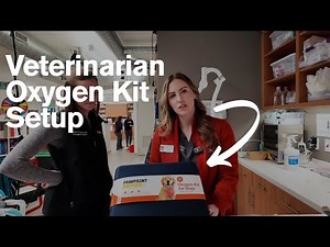 Pet Oxygen Therapy in Veterinary Hospitals: Kit Setup & Use