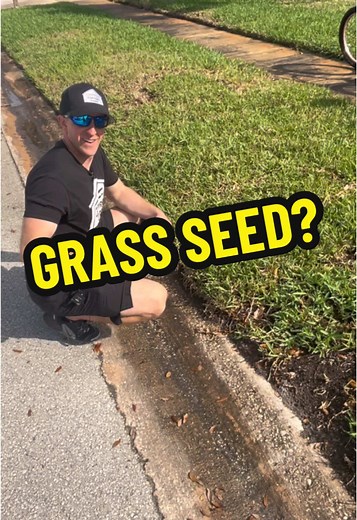 How to Fill Bare Spots in St. Augustine Lawn