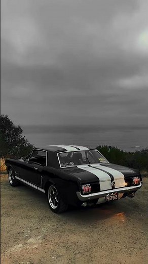 1965 Ford Mustang with a 347 Stroker 🔊