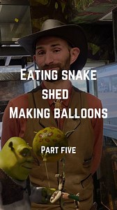 Snakes don’t eat their shed—it’s just old skin made of keratin, the same stuff as your hair and nails. (Hard pass.) Unless you’re a very confused kingsnake… then all bets are off. Bonus science moment: yes, you can turn snake shed into water balloons. #reptilejunction #letstalk #snakes #petshop | Reptile Junction