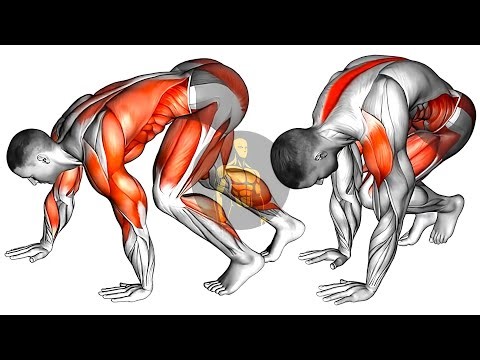 20 Min Morning Stretching & Mobility Routine | Full Body Flexibility & Warm-Up | FIT3DWORKOUT