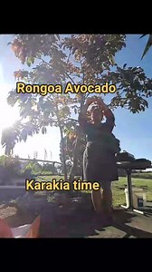 25 reactions | Karakia today is with the Avocado tree Avocado...