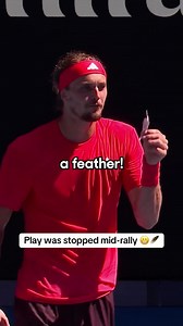 Play Stopped Mid-Rally for a Feather