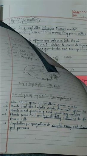 class 10th biology chapter 3 notes 👍👍// #class10 #viral #shortsfeed #shorts