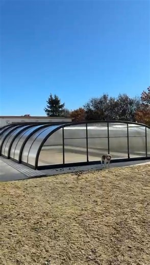 We love seeing happy homeowners (and even happier pups🐶) A simple upgrade that adds comfort, safety, and style to your backyard. Check out this stunning before-and-after pool enclosure install! | Pool & Spa Enclosures, LLC