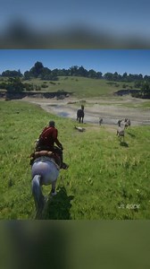 Catching a horse worth 100M dollar | JS Rock