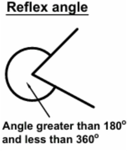 Reflex Angle