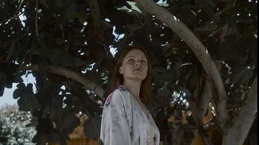Parallax (2023)