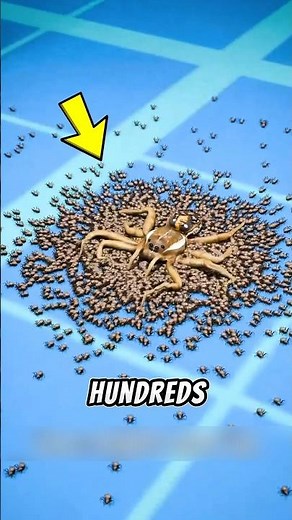 What REALLY Happens If You Stomp on a Spider?‼️😱