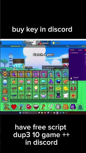 Catch And Tame [ DUPE SCRIPT INFINITY MONEY ] #roblox #duplicatecontent #duplicatecontent