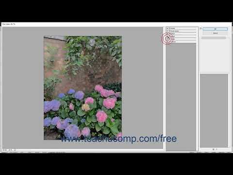 Photoshop Elements 2020 Tutorial Filters & the Filter Gallery Adobe Training