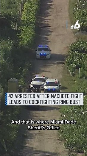 Report of machete fight led to cockfighting ring bust, 42 arrests in Florida