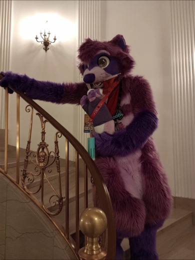 Become purple with me :3, thanks @jaxxy_husky @zeffosporin @one09focus for the vids/pics ^^ P.S check out Karabao Katering if you're local to chicago they make hella good food #fursquared #furry #fursuit #furryfandom
